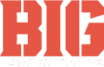 Best Invisible Grill - BIG